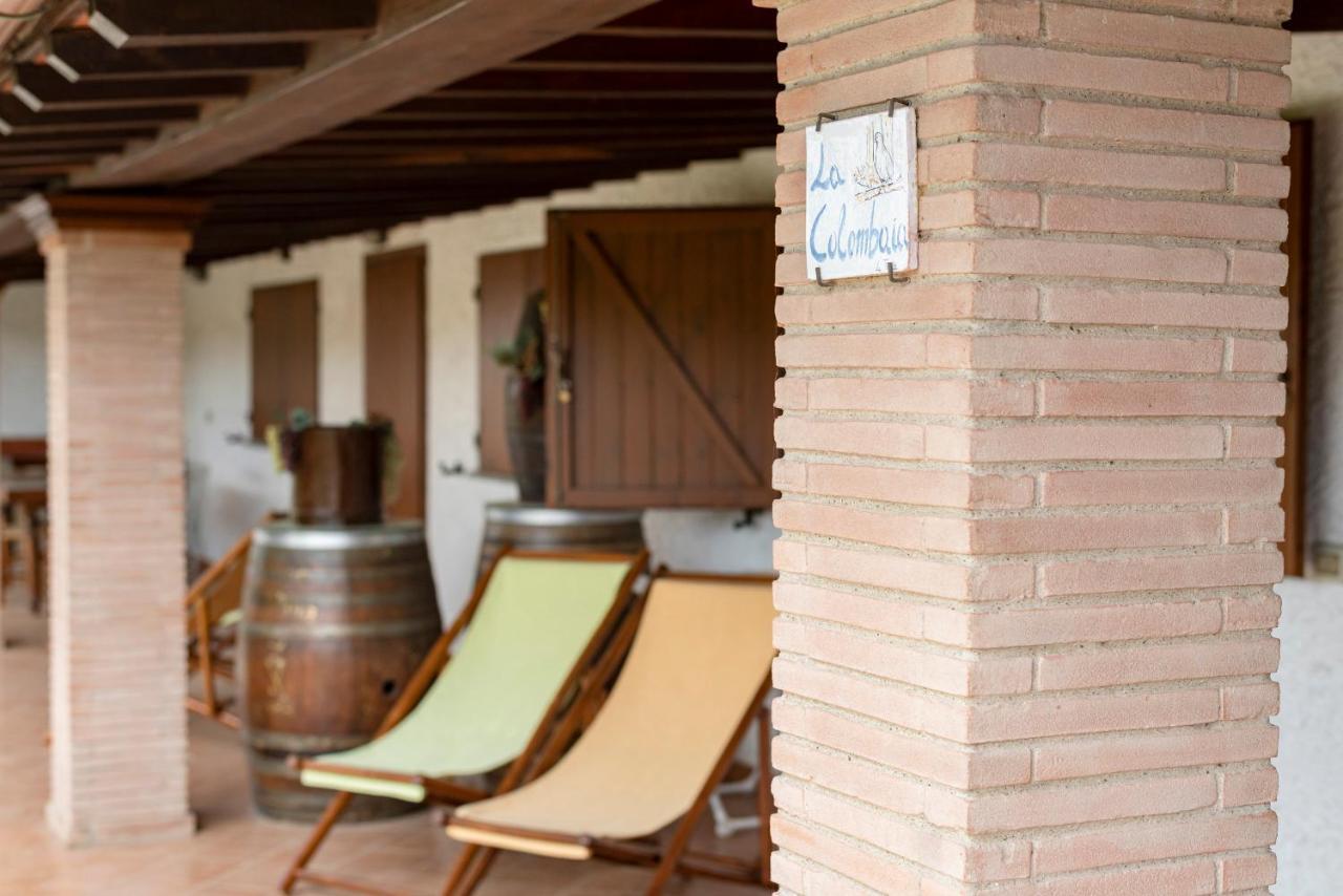 Agriturismo La Rombaia Castiglione della Pescaia Εξωτερικό φωτογραφία